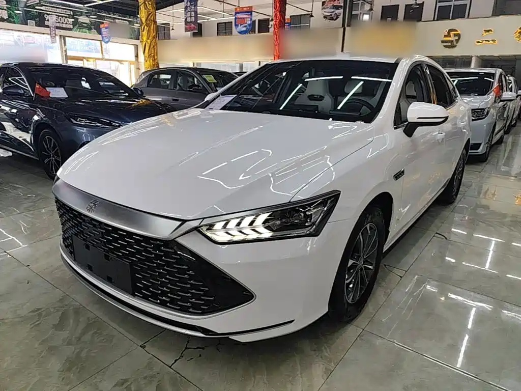 BYD Qin PLUS — фото 2