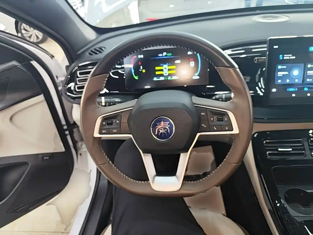 BYD Qin PLUS — фото 11