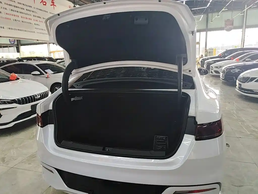 BYD Qin PLUS — фото 19