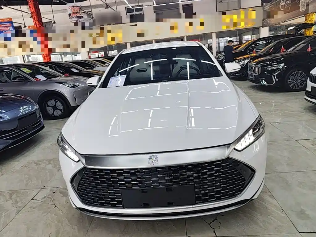 BYD Qin PLUS — фото 3