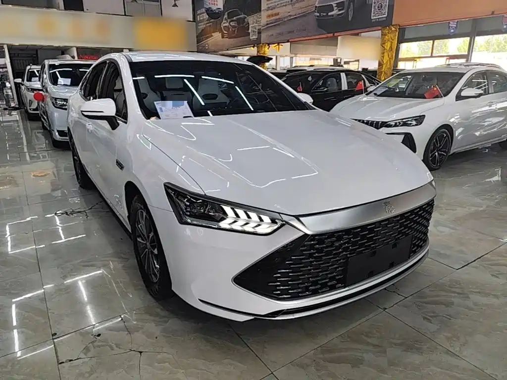 BYD Qin PLUS — фото 4
