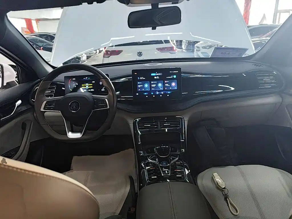 BYD Qin PLUS — фото 10