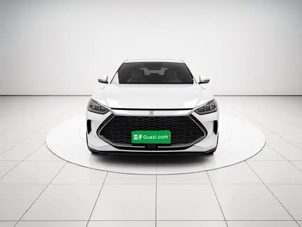 BYD PLUS New Energy — фото 2