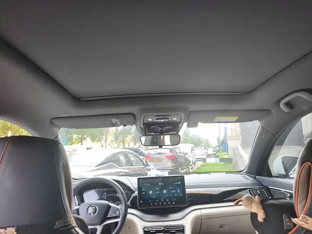 BYD PLUS New Energy — фото 19