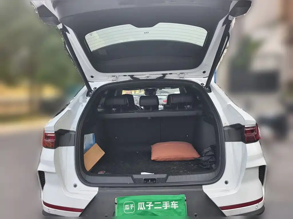 BYD PLUS New Energy — фото 20