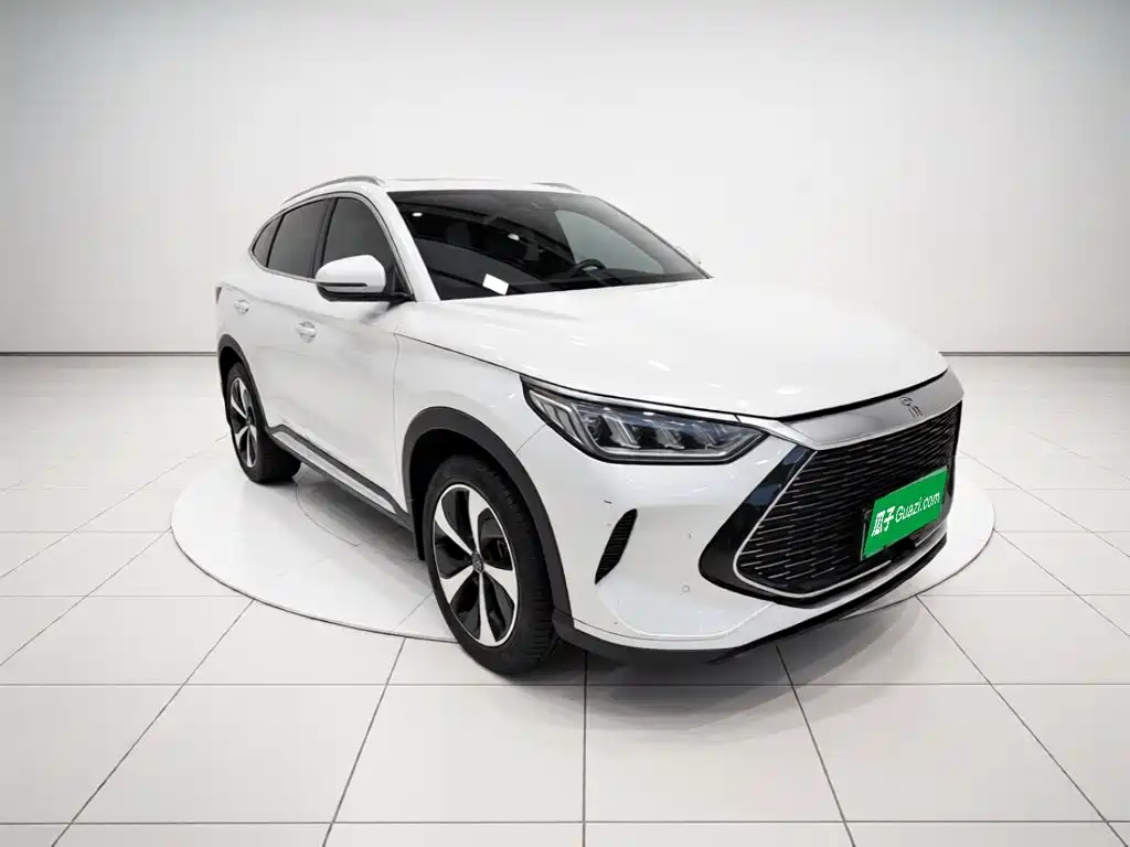 BYD PLUS New Energy — фото 3