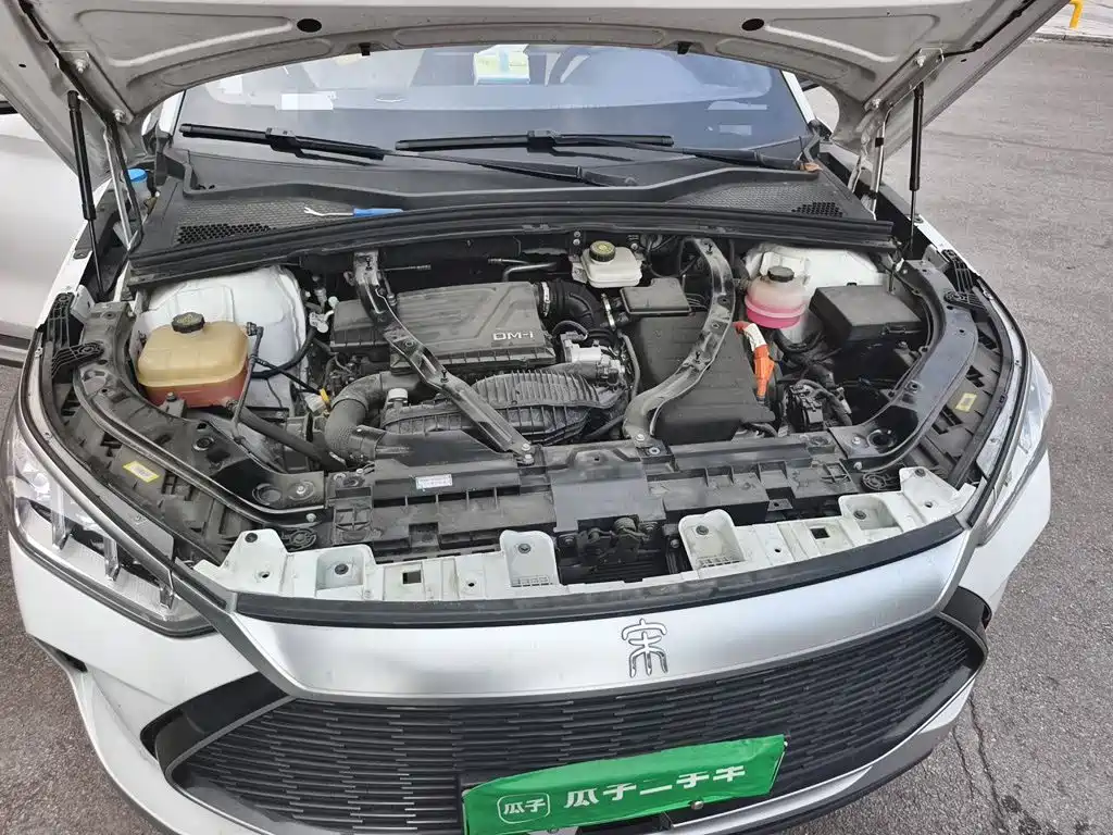 BYD PLUS New Energy — фото 21