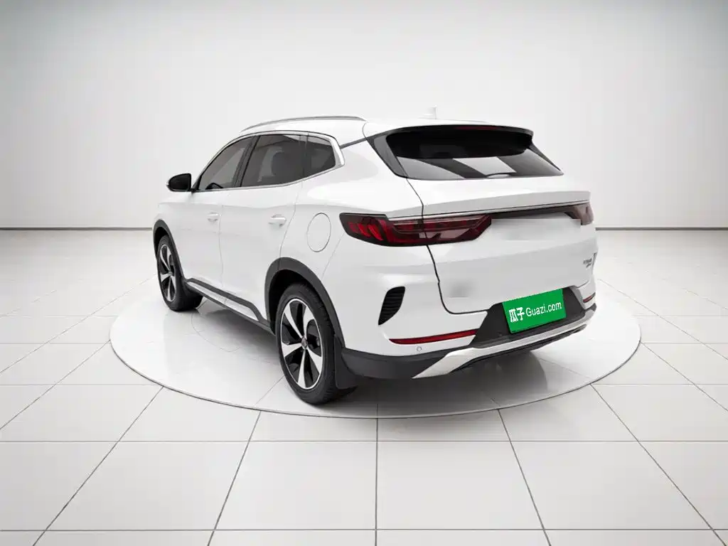 BYD PLUS New Energy — фото 4