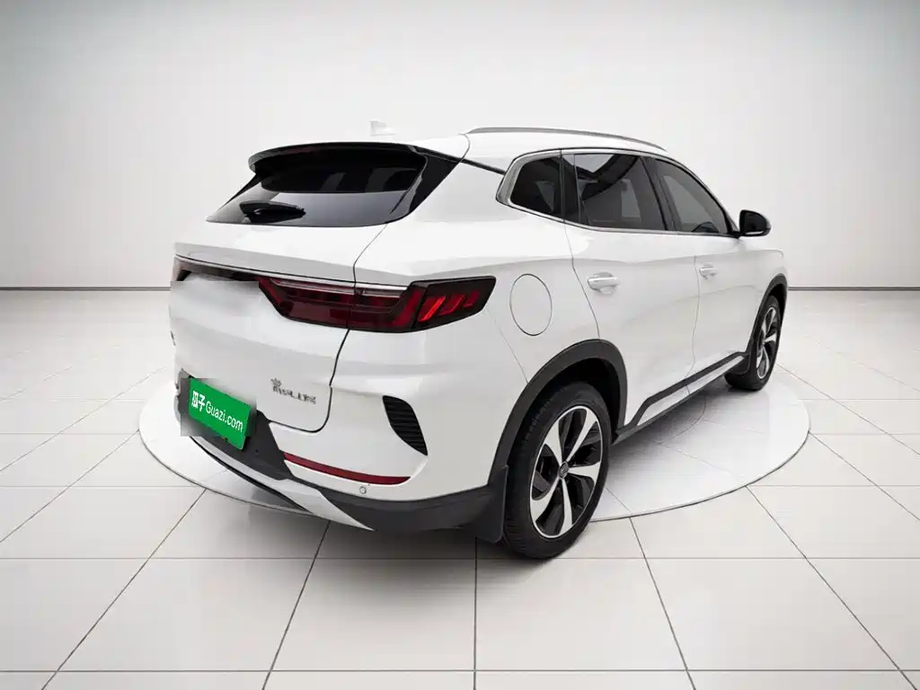 BYD PLUS New Energy — фото 6