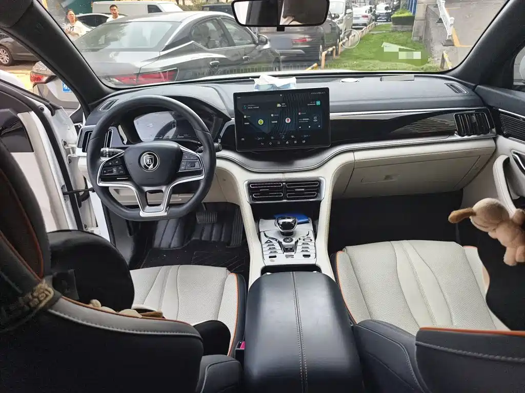 BYD PLUS New Energy — фото 10