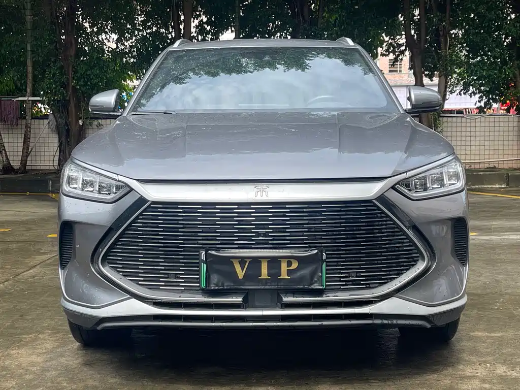 BYD PLUS New Energy — фото 2