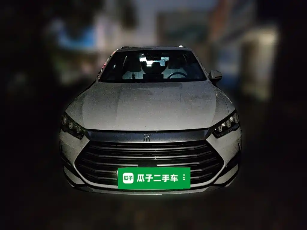 BYD Pro New Energy — фото 2