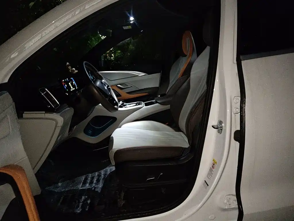 BYD Pro New Energy — фото 11