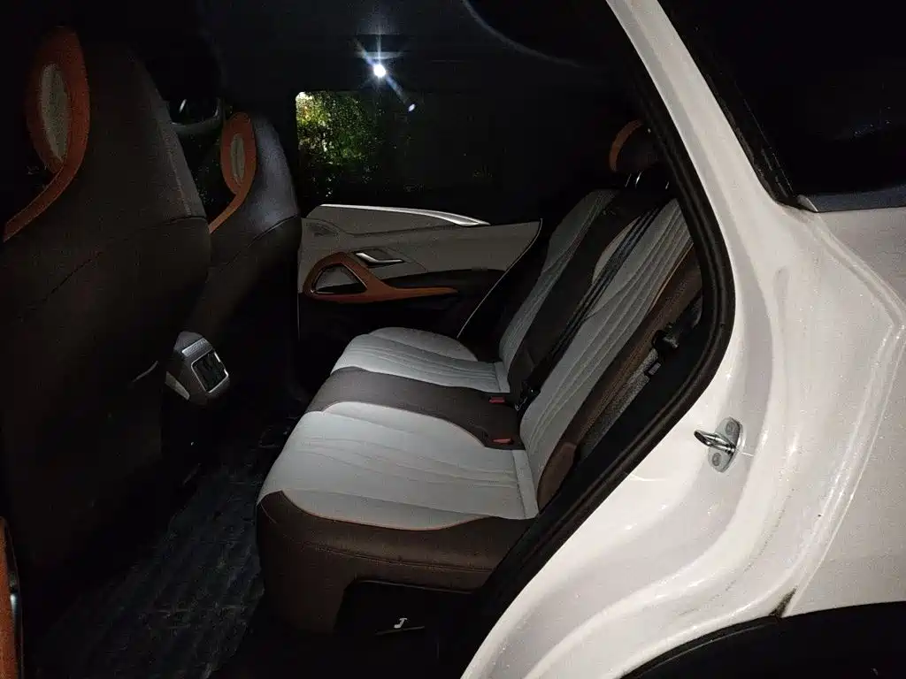 BYD Pro New Energy — фото 13