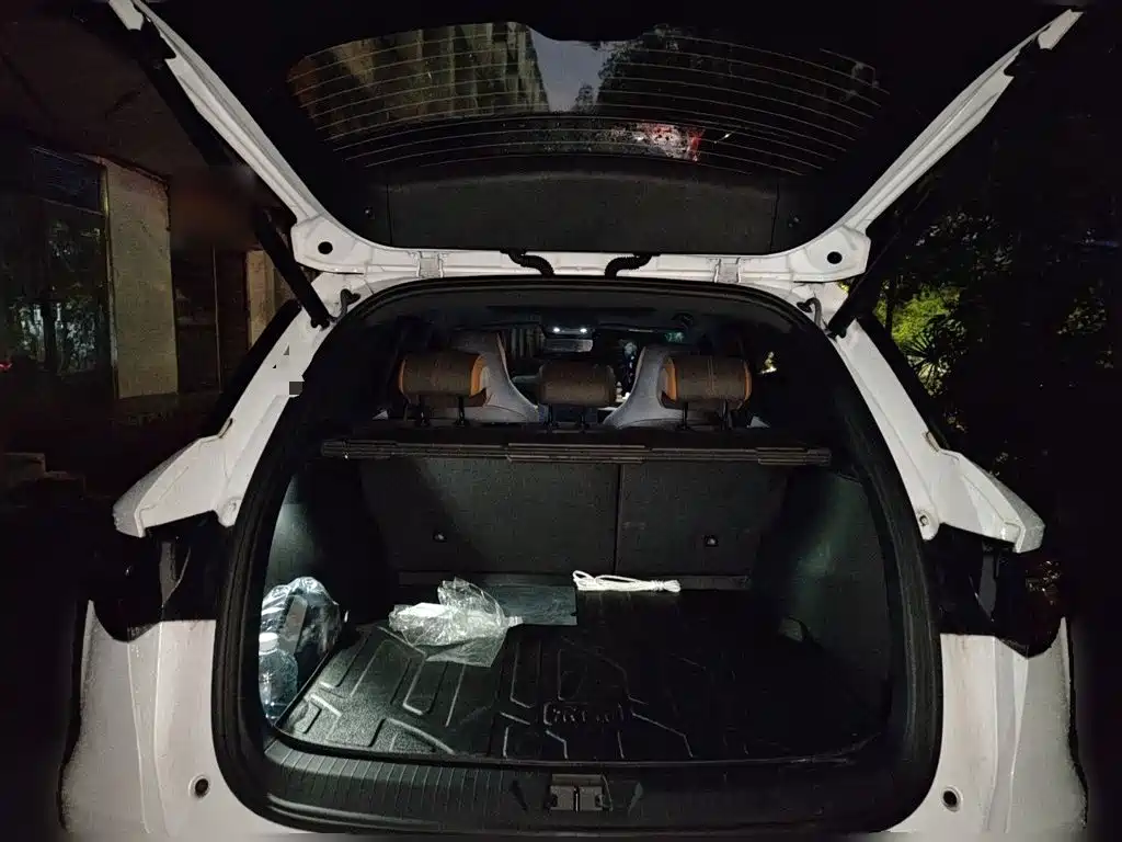 BYD Pro New Energy — фото 15