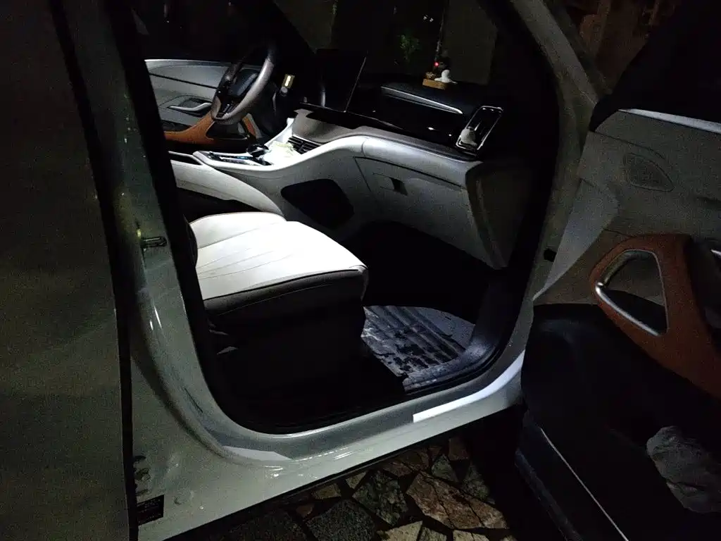 BYD Pro New Energy — фото 19