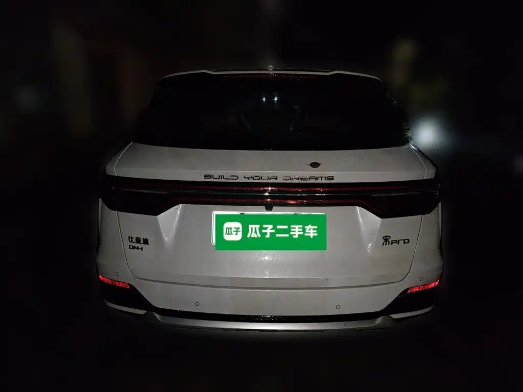 BYD Pro New Energy — фото 3