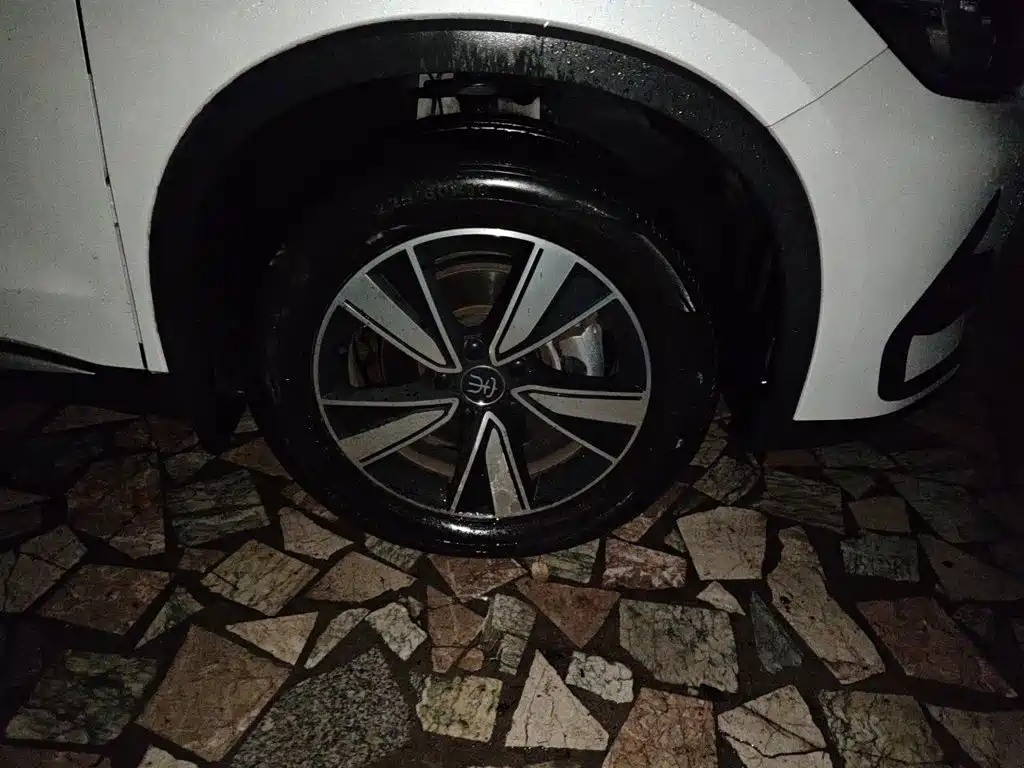 BYD Pro New Energy — фото 24