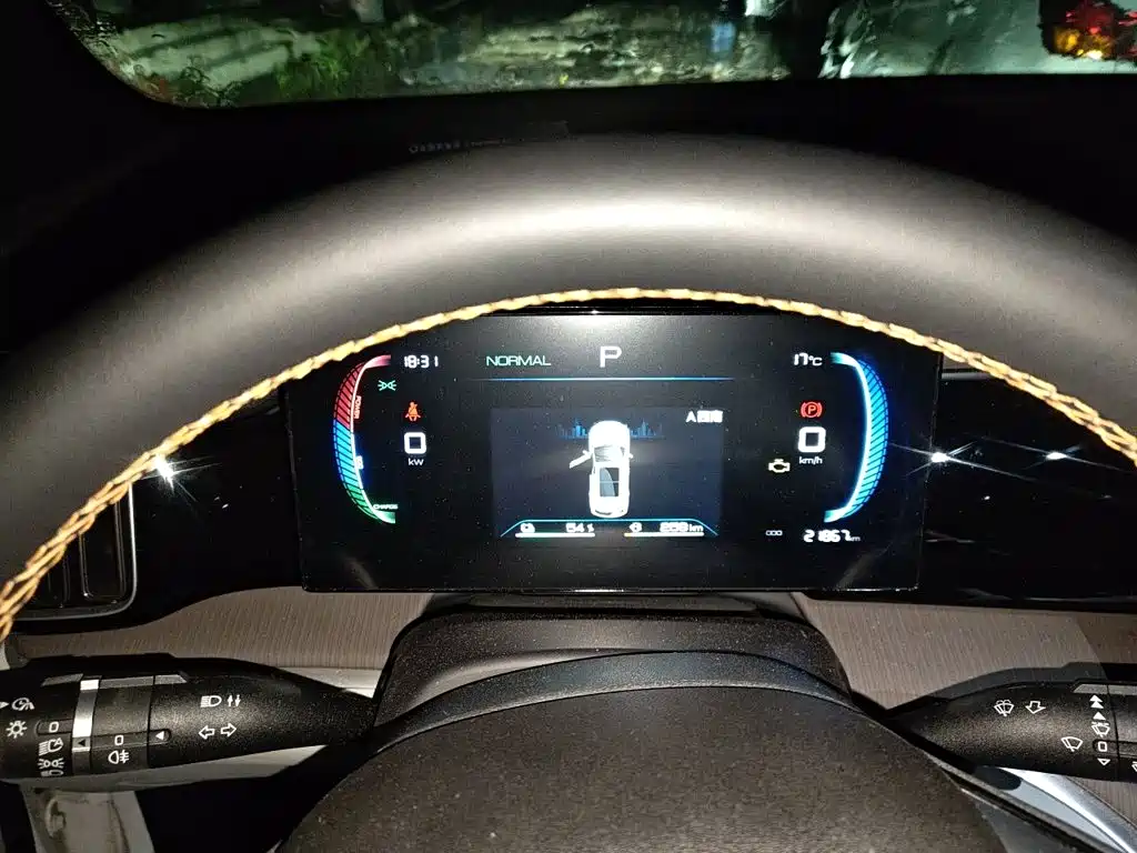 BYD Pro New Energy — фото 7