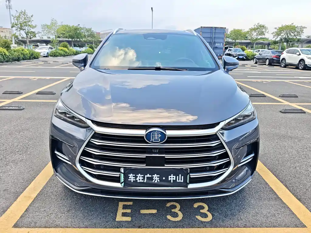 BYD Tang New Energy — фото 2