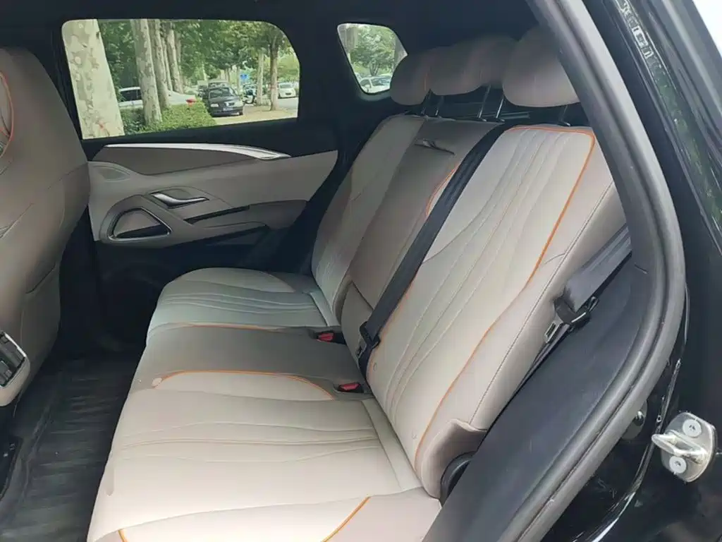 BYD Pro New Energy — фото 17