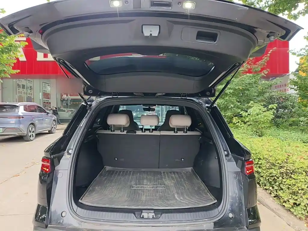 BYD Pro New Energy — фото 19