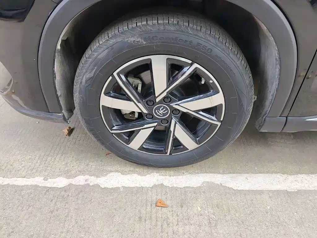 BYD Pro New Energy — фото 23