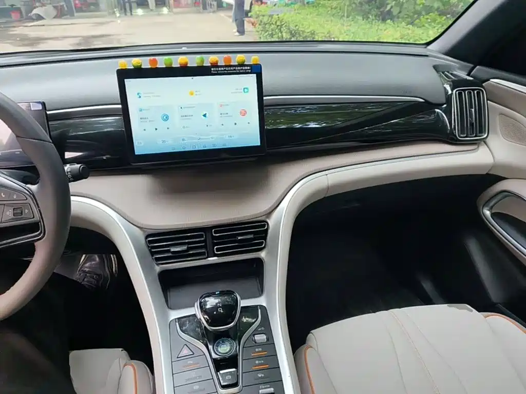 BYD Pro New Energy — фото 10