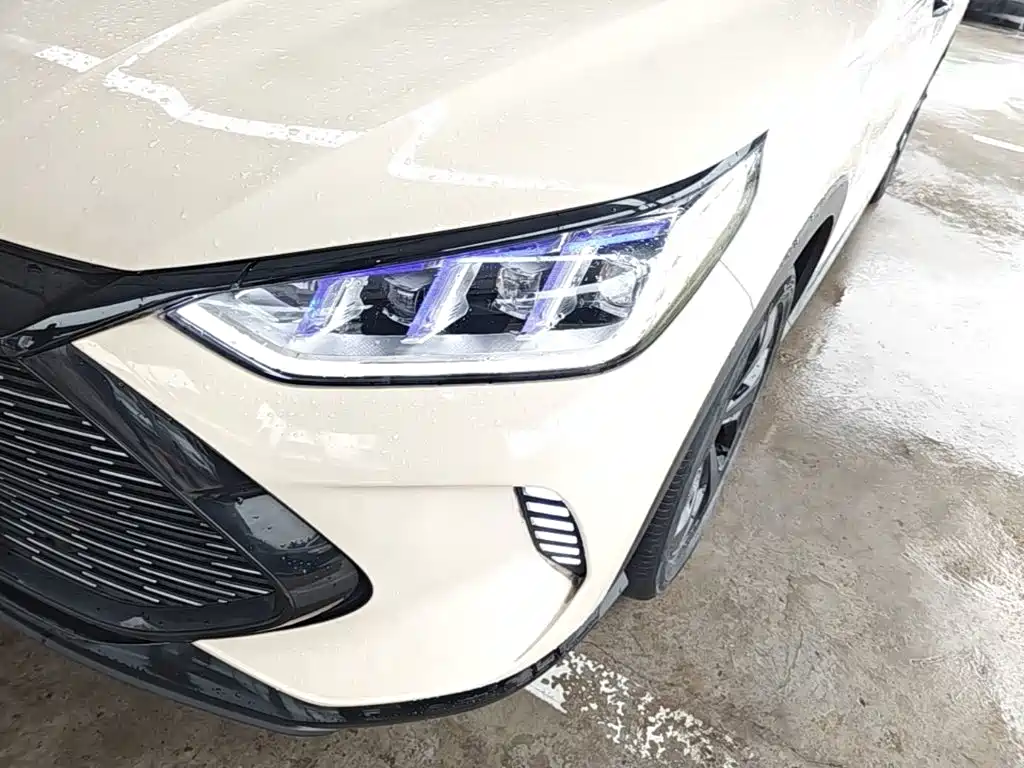 BYD PLUS New Energy — фото 3