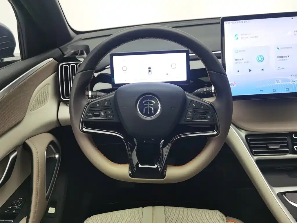 BYD Pro New Energy — фото 11