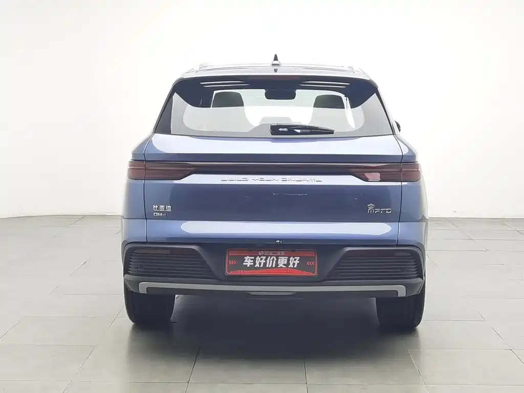 BYD Pro New Energy — фото 4