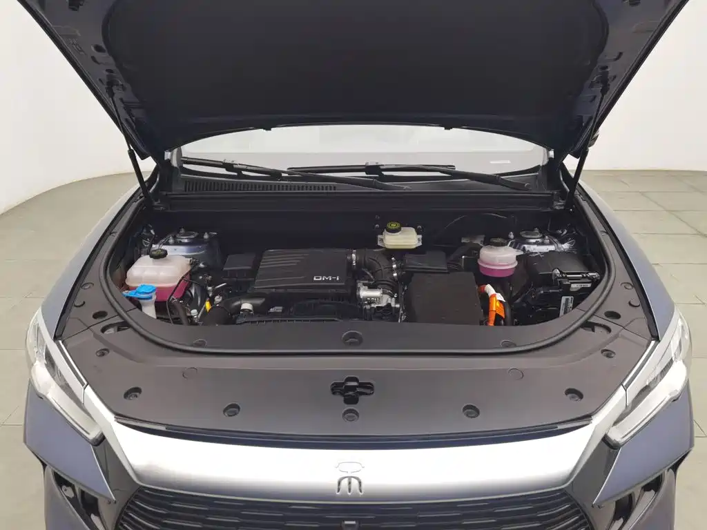 BYD Pro New Energy — фото 6