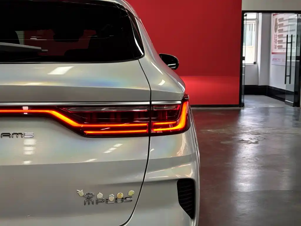 BYD PLUS New Energy — фото 13