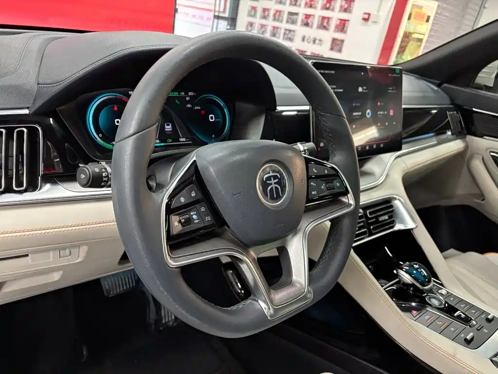 BYD PLUS New Energy — фото 17
