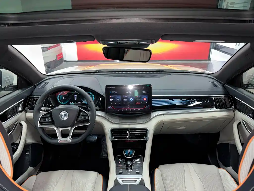 BYD PLUS New Energy — фото 20