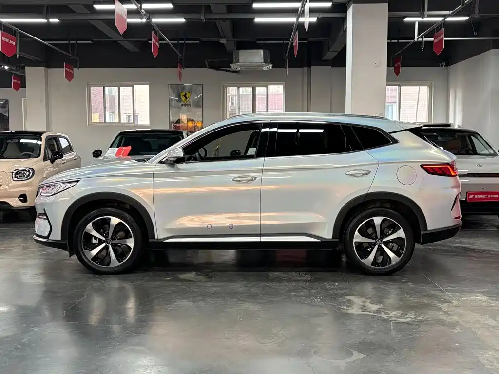 BYD PLUS New Energy — фото 4