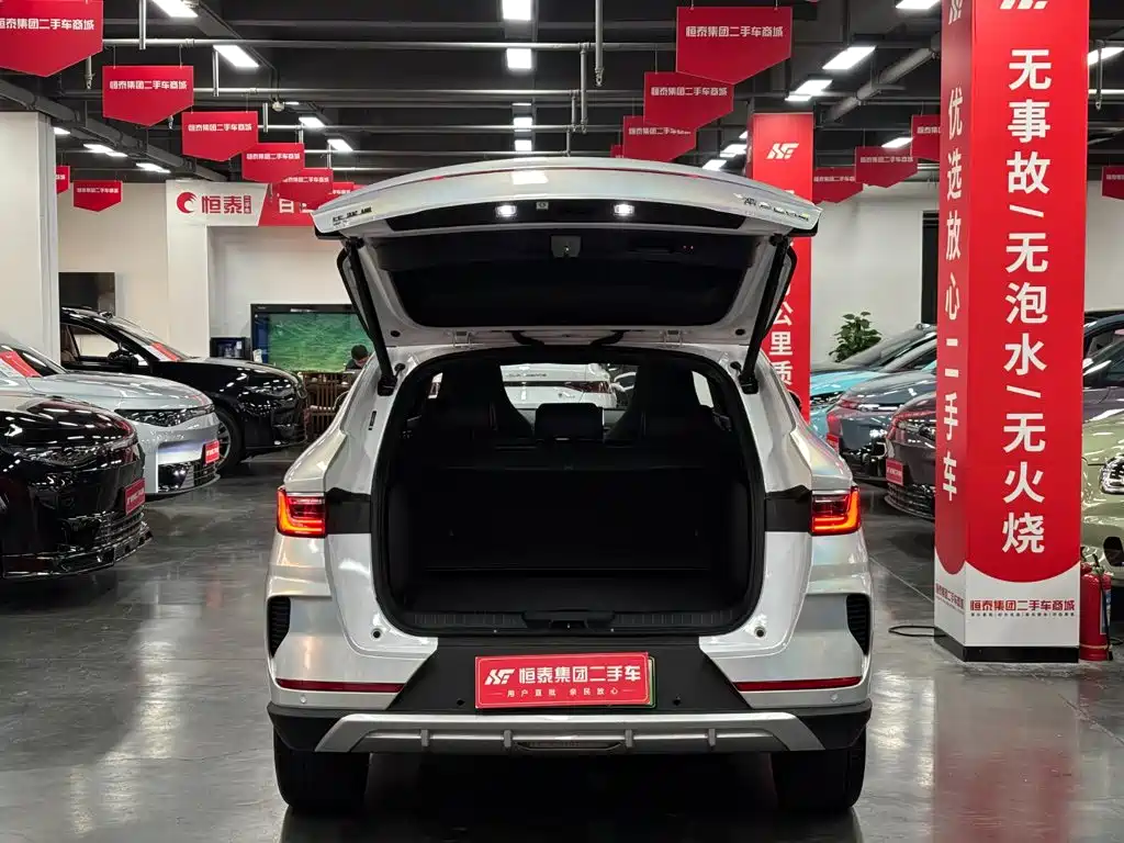 BYD PLUS New Energy — фото 8