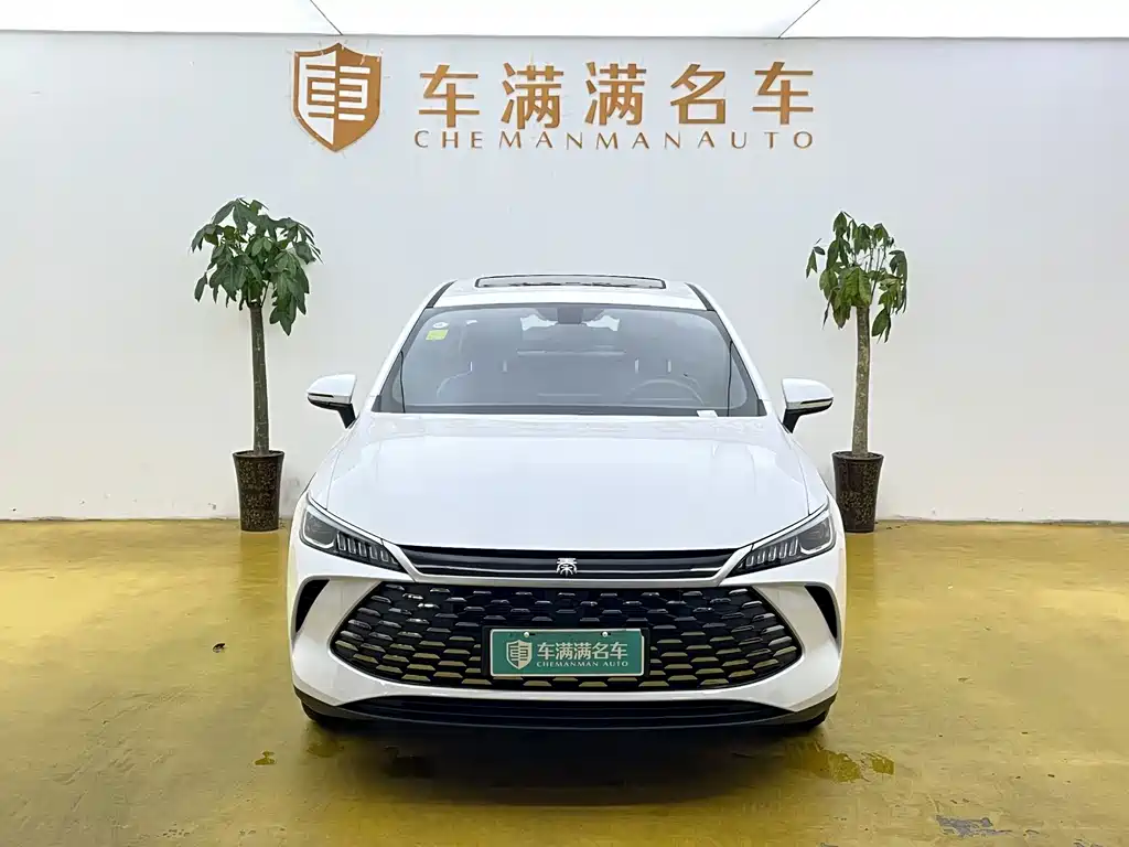 BYD Qin PLUS — фото 2