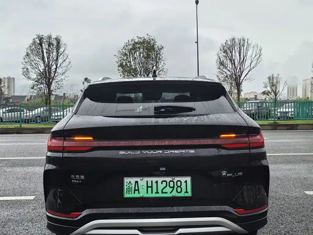 BYD PLUS New Energy — фото 13