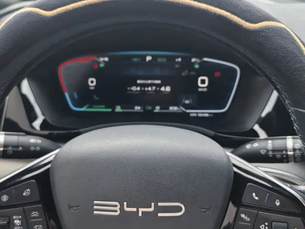 BYD PLUS New Energy — фото 20