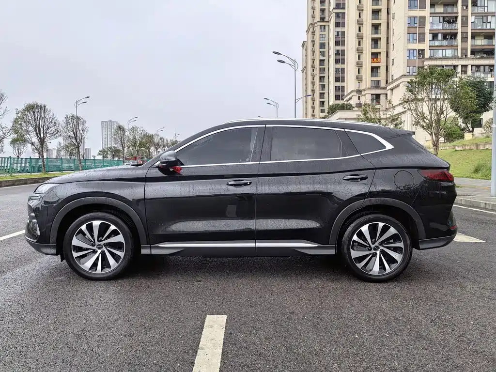 BYD PLUS New Energy — фото 7
