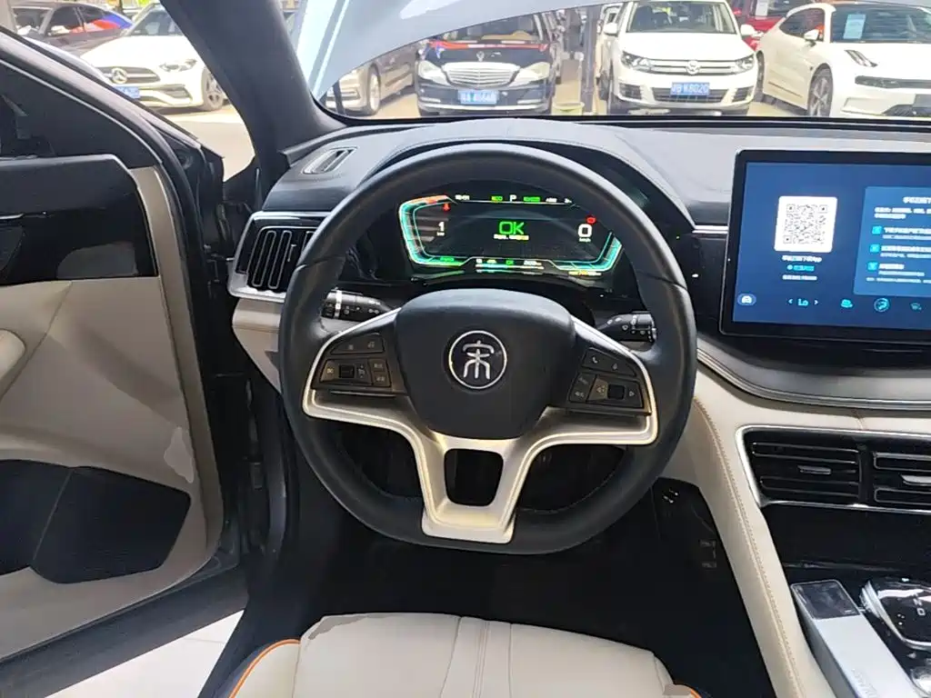 BYD PLUS New Energy — фото 11