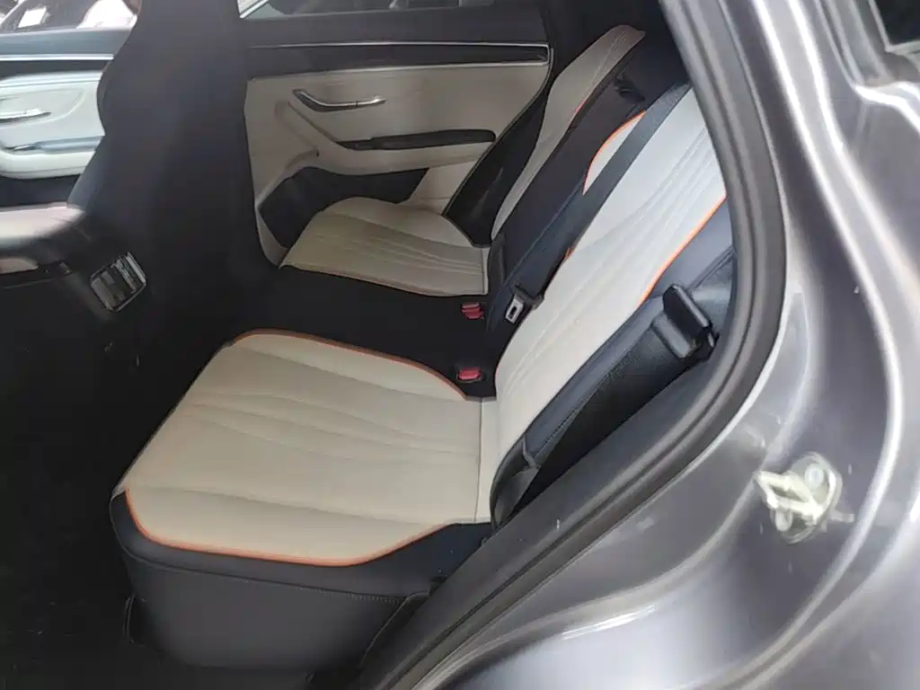 BYD PLUS New Energy — фото 17