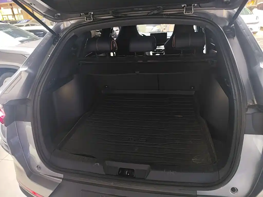 BYD PLUS New Energy — фото 19
