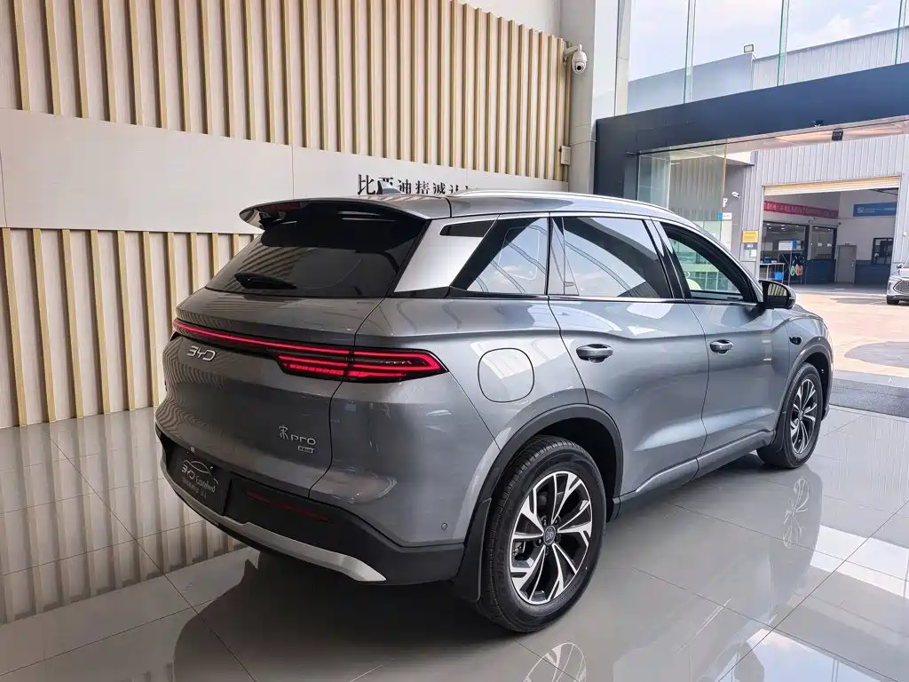 BYD Pro New Energy — фото 6