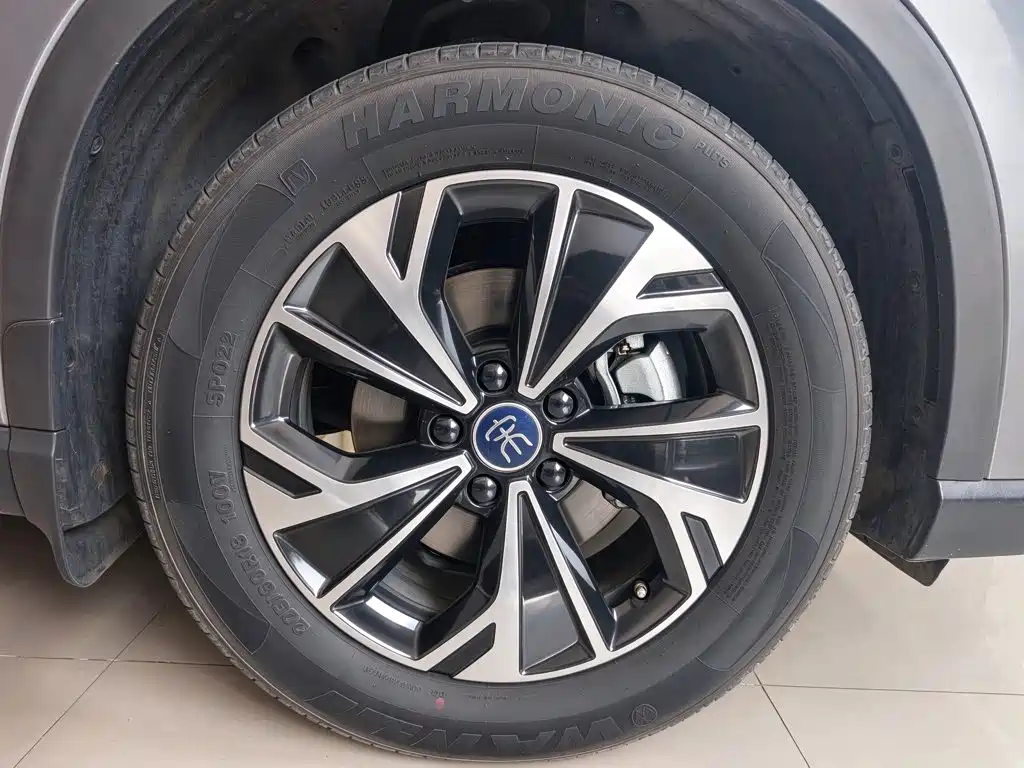 BYD Pro New Energy — фото 8