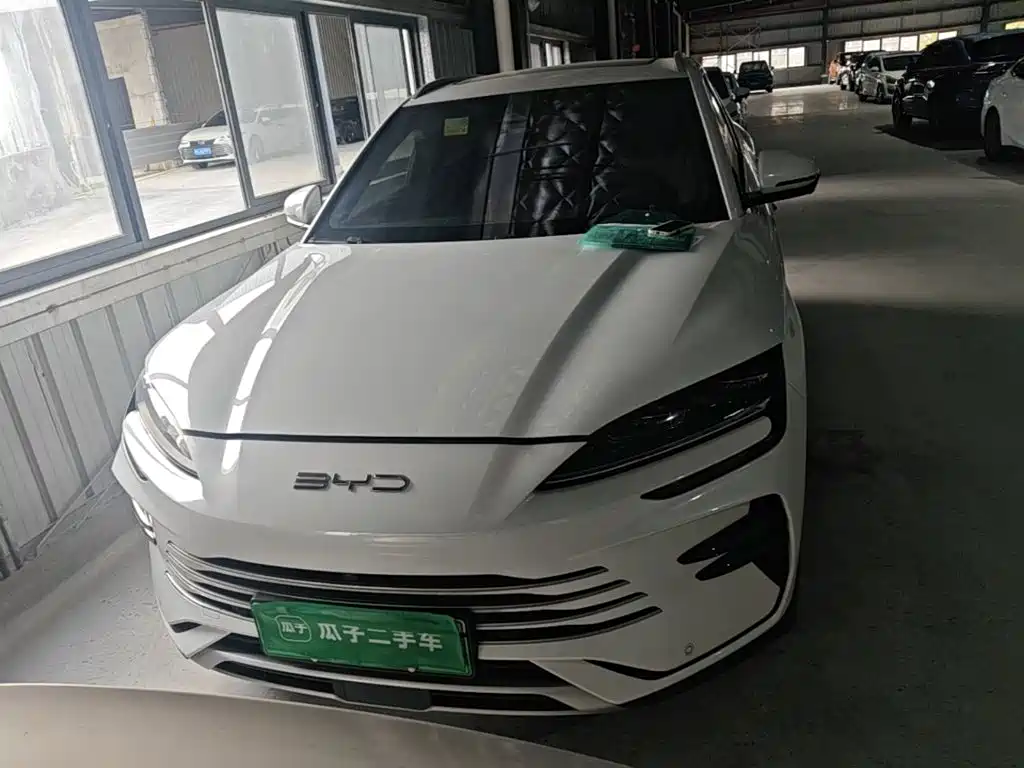 BYD PLUS New Energy — фото 2