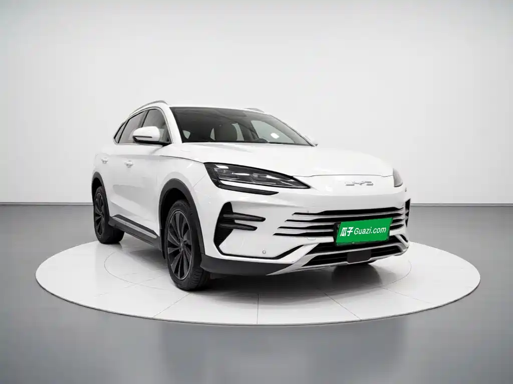 BYD PLUS New Energy — фото 3
