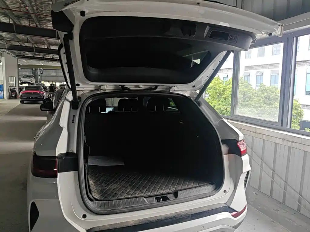 BYD PLUS New Energy — фото 21