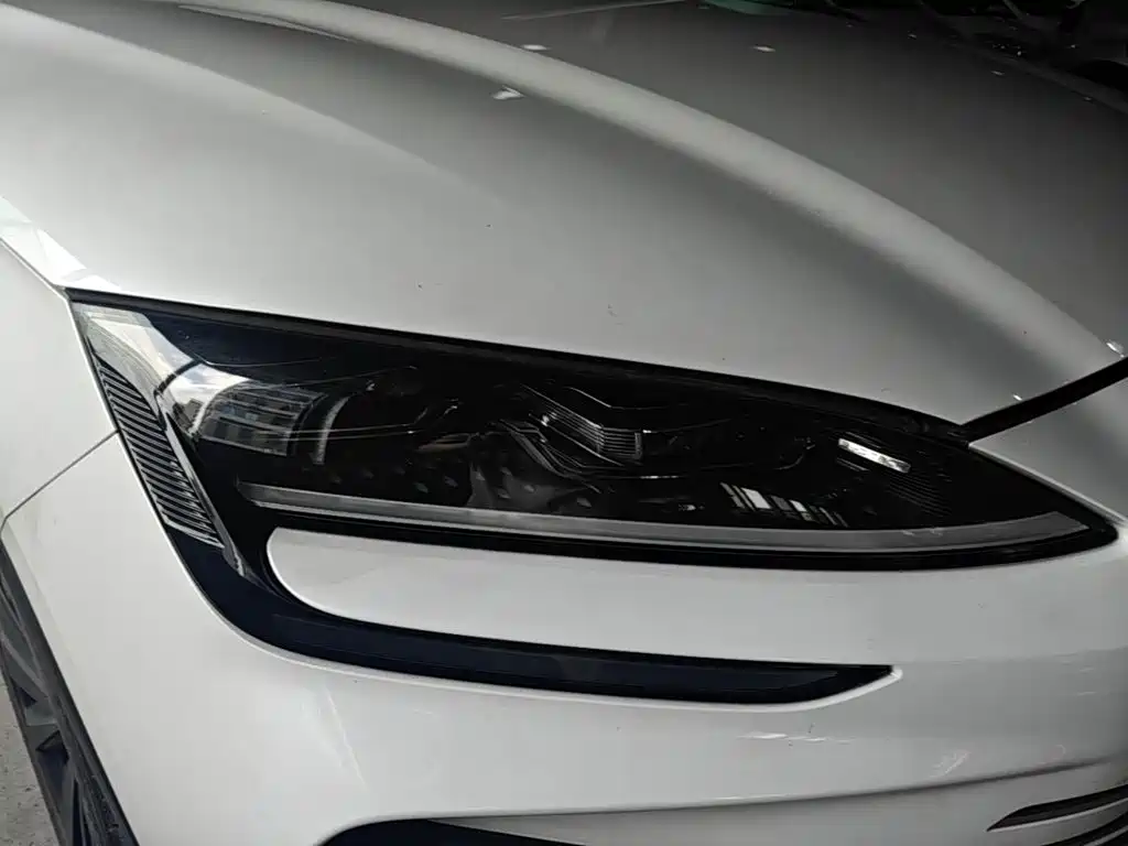 BYD PLUS New Energy — фото 8